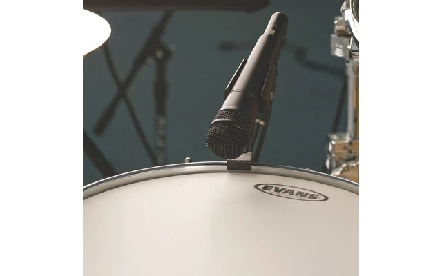 Audix F5