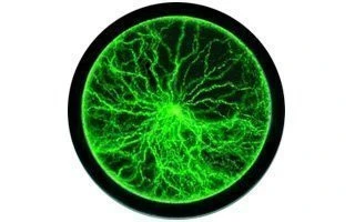 Disco de plasma 16"