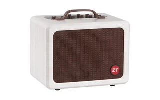 ZT Amplifiers Lunchbox Acoustic