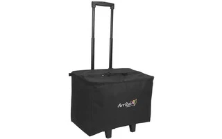 Accu Case ACR-19