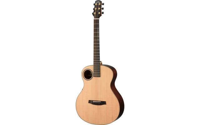 Walden WAB1EH Baritone