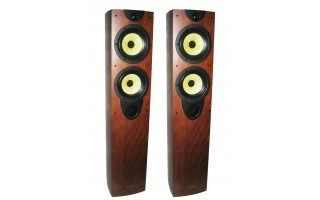 Wharfedale EVO 40 ( Pareja )