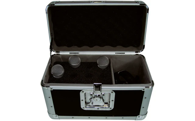 Accu Case ACF-SW/Microphone case