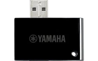 Yamaha UD BT01