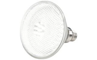 Lampara de 70 LEDs PAR38 - Blanco