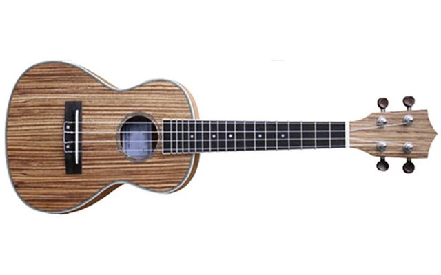 Rochester UKELELE CONCIERTO UK48C