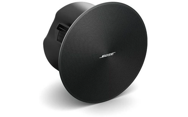 Bose DesignMax DM5C