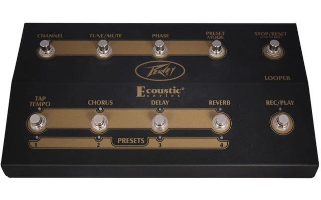 Peavey Ecoustic  E110 W/FT Controller