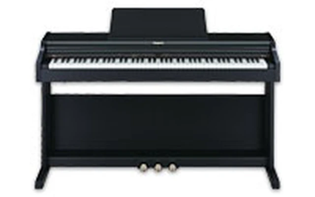 Roland RP-201