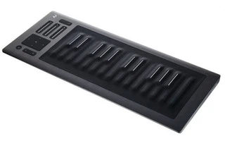 ROLI Seaboard RISE 25