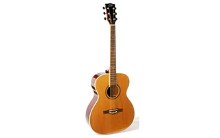 EKO Guitars NXT 018 Nat