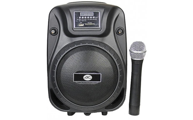 Acoustic Control GuGo Combo