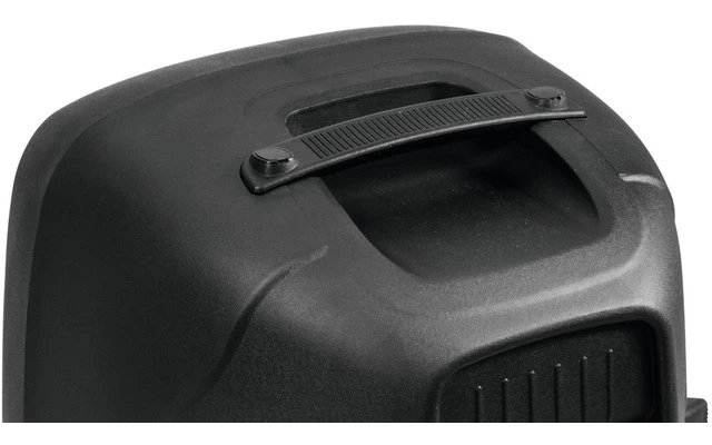 OMNITRONIC VFM-215AP 2-Way Speaker, active
