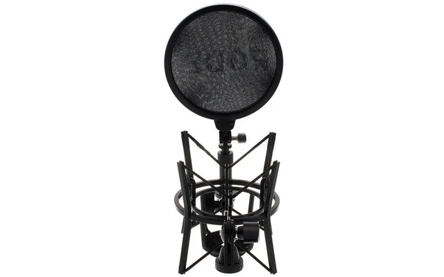 RODE SM6