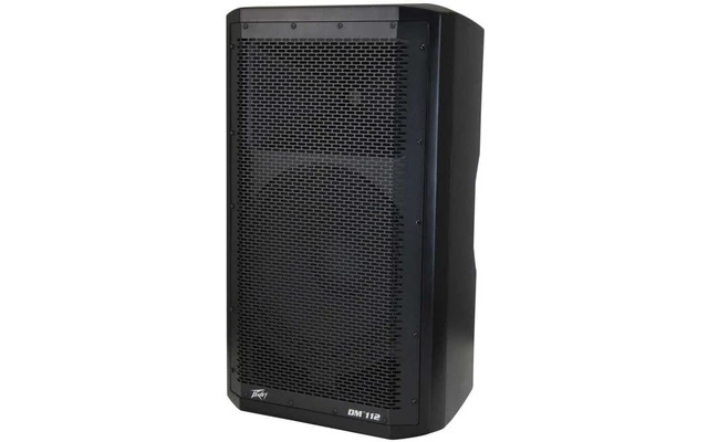 Peavey DM 112