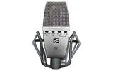 SE Electronic T2