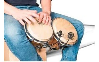 Prodile PL21 - Micrófono para instrumentos de percusión