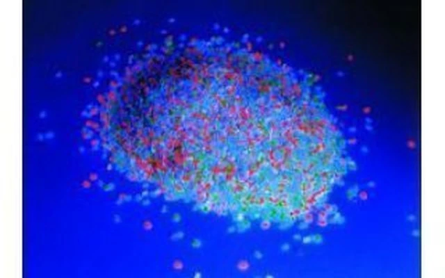 Granulado florescente de mezcla de colores , 1kg