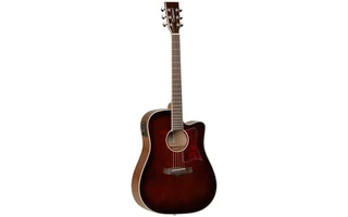 TangleWood TW5SB