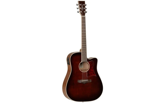 TangleWood TW5SB