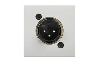 Audac CP 45 XLMSW Placa de conexión con XLR macho blanca - 45 x 45 mm