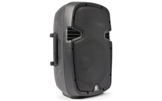 SkyTec SPJ-1000 Bafle Pasivo Hi-End 10" 300W