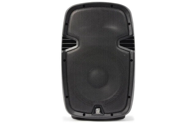 SkyTec SPJ-1000 Bafle Pasivo Hi-End 10