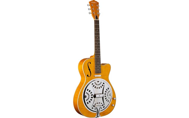 Washburn R45RCE