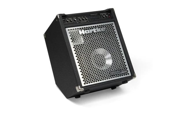 Hartke A100