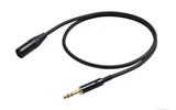 XLR a JACK 6.3