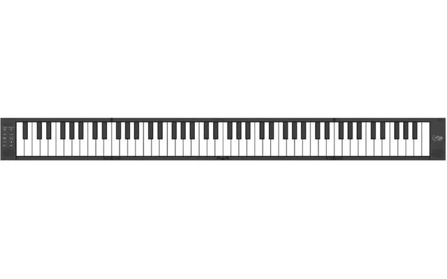 Carry On Piano 88 Black