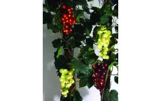 EUROLITE Multicolor grapes 230V - LQ-K62