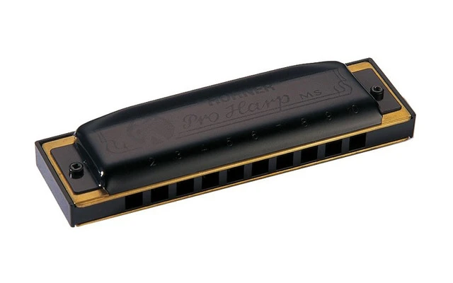 Hohner Pro Harp 562 / 20 GX