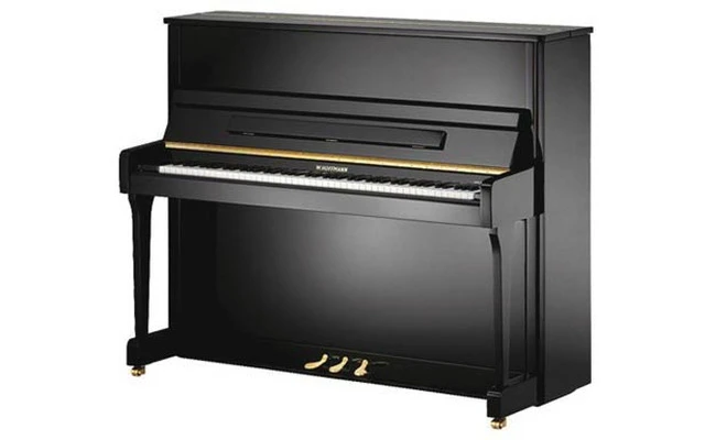 Hoffman V-120 negro poliester