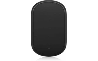 Tannoy Dvs 801