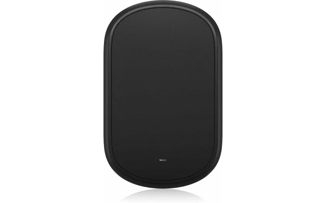 Tannoy Dvs 801