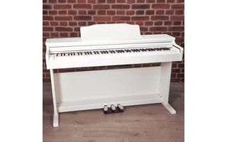 Oqan QP88W - Stock B Exposición