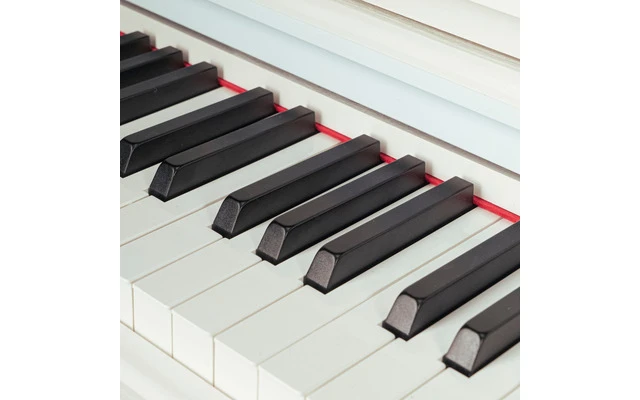 Imagenes de Oqan QP88W - Stock B Exposición