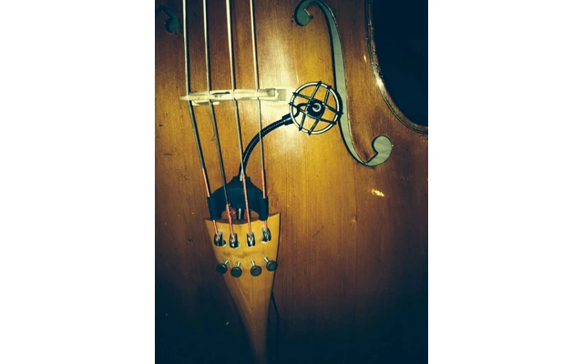 ProDipe CL-21