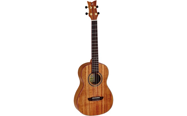 Ortega Ruaca BA