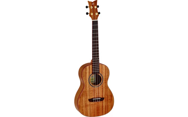 Ortega Ruaca BA