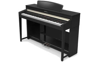 Kurzweil CUP110 SR