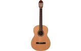 GUITARRA ACUSTICA