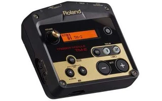 Roland TM-2