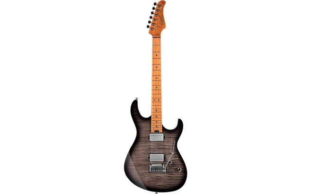 Cort Guitars G290FAT II Tbb