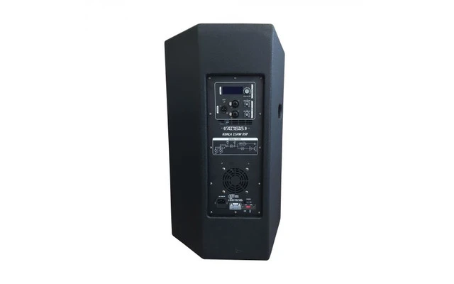 Definitive Audio KOALA 15AW DSP