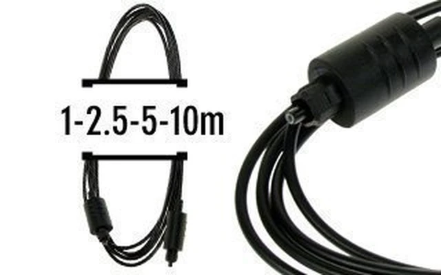 Cable de Fibra Óptica 1m