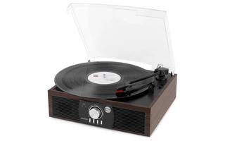 Fenton RP175DW