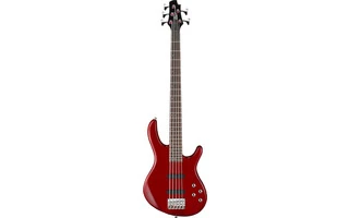 Cort Guitars Action Bass V Plus TR