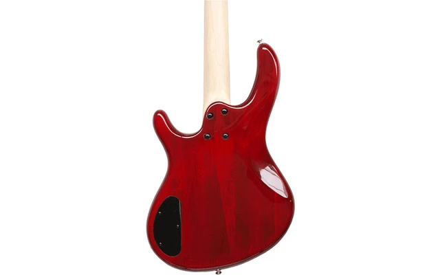 Cort Guitars Action Bass V Plus TR